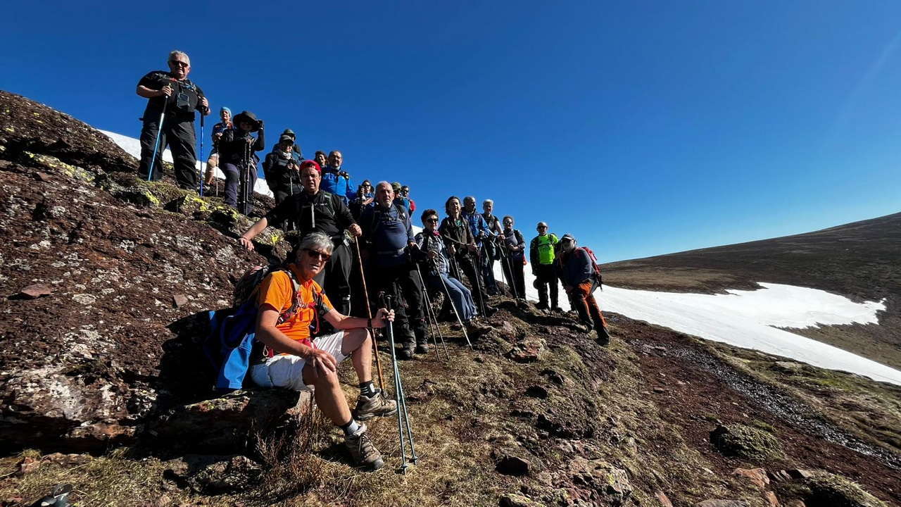 WhatsApp Image 2026-04-05 at 20.45.33 (2)